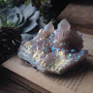 Meet your Posher, Eryn